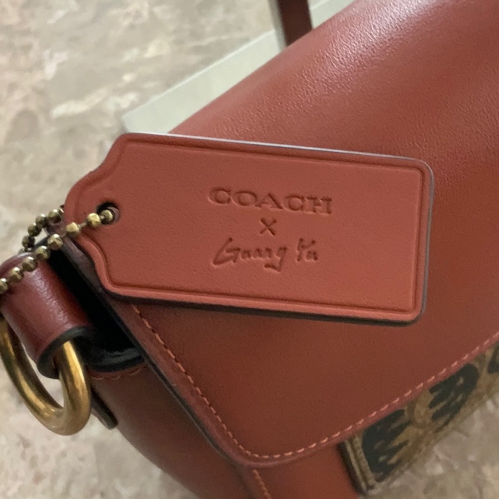 Coach x Guang Yu Beat Shoulder Bag 18 - Limited Edition 2020 Artist Collab - Picture 4 of 16